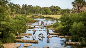 Three people and a dog walk across a series of stones which span across a river at Sydney Park in St Peters.